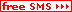 zur kostenlos SMS Seite 