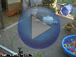 webcam Frankfurt am Main ansehen